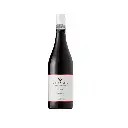 Syrah.webp