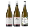 Villa Maria All White Selection
